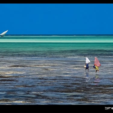 deux filles partent à la pèche avec des sceaux. un voilier à l'horizon. crédit photo steve rych