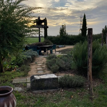 Relaxation pleine conscience et soins par la nature et le jardin thérapeutique et préventif