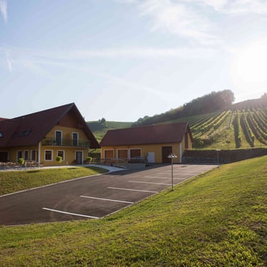 Panoramablick auf Weingut Uhl