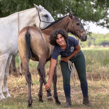 Foal Handling Portugal, ©ABR Fotografia