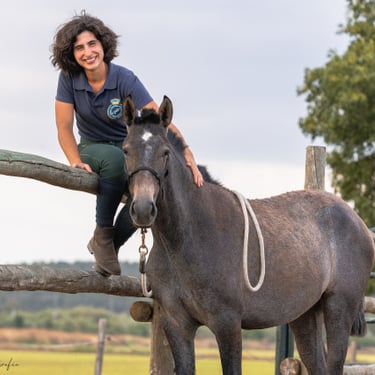 Foal Handling Portugal, ©ABR Fotografia