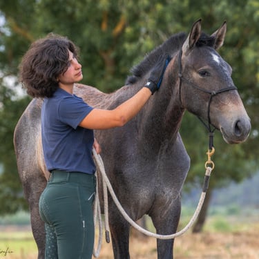 Foal Handling Portugal, ©ABR Fotografia, Fohlenkurs