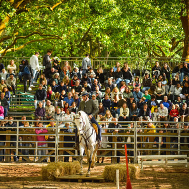 ©Skytouch Portugal, Oeste Lusitano, Fonseca