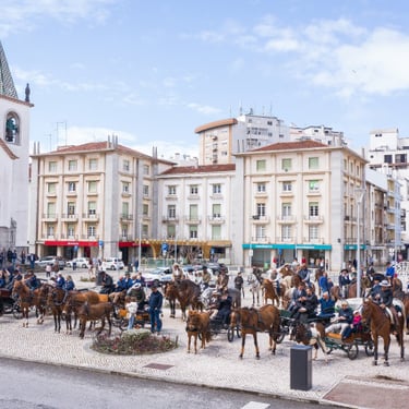 ©Skytouch Portugal, Oeste Lusitano