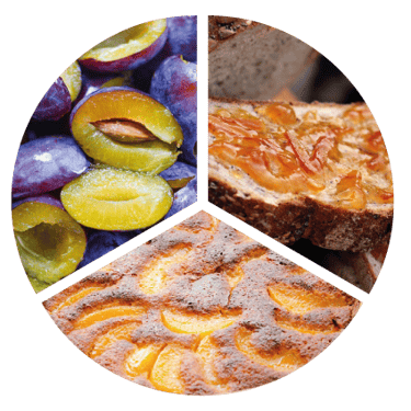 Bouche Cognac XO (Roue des arômes) 