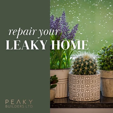 Peaky Builders Wellington Recladding Renovations