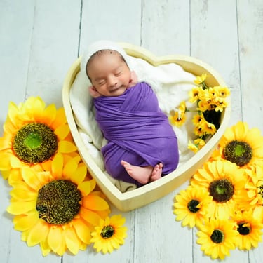 Newborn Photography baby in heart shaped prop and sunflower themed background