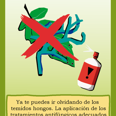 Carta para el juego PLANTA. Digital.