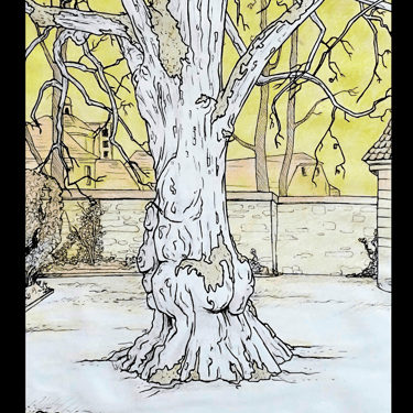 Árbol suizo, Rotulador calibrado y lápices de colores en A3. Digitalización.