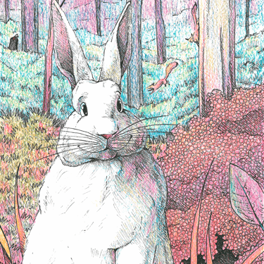 Ilustraciones para el cuento infantil La Patita Gris de Mamin-Sibiryak. Lápices de colores y rotuladores calibrados.