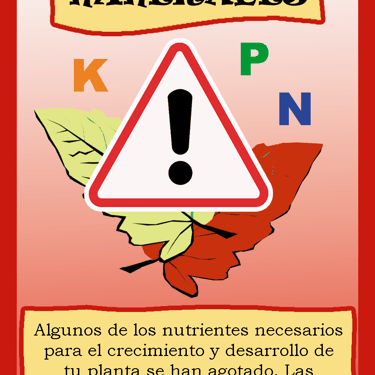 Carta para el juego PLANTA. Digital.