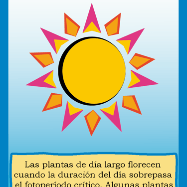 Carta para el juego PLANTA. Digital.