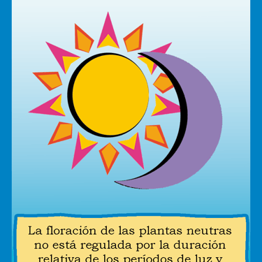 Carta para el juego PLANTA. Digital.