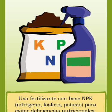 Carta para el juego PLANTA. Digital.