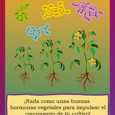 Carta para el juego PLANTA. Digital.