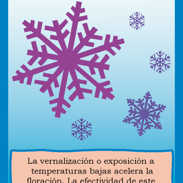 Carta para el juego PLANTA. Digital.