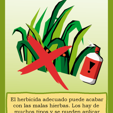 Carta para el juego PLANTA. Digital.