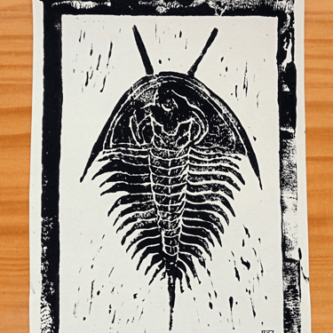 Hoja de Roble y Trilobites, grabados de linóleo en tamaño carta en diferentes colores y cartulinas.