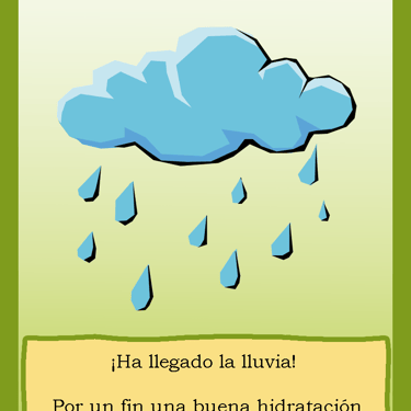 Carta para el juego PLANTA. Digital.