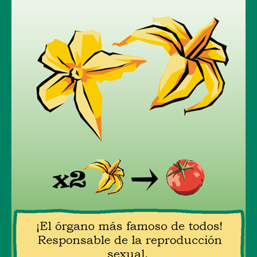 Carta para el juego PLANTA. Digital.