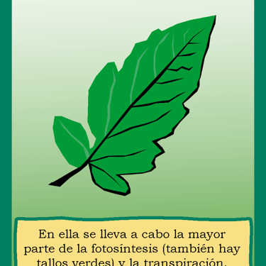 Carta para el juego PLANTA. Digital.