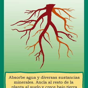 Carta para el juego PLANTA. Digital.