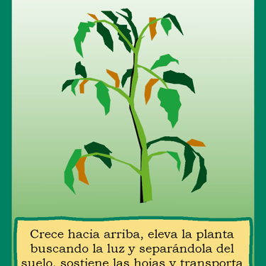 Carta para el juego PLANTA. Digital.