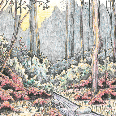 Ilustraciones para el cuento infantil La Patita Gris de Mamin-Sibiryak. Lápices de colores y rotuladores calibrados.
