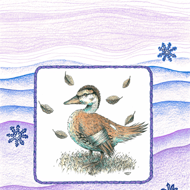 Ilustraciones para el cuento infantil La Patita Gris de Mamin-Sibiryak. Lápices de colores y rotuladores calibrados.