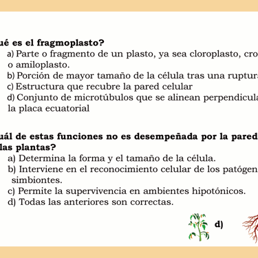 Carta para el juego PLANTA. Digital.