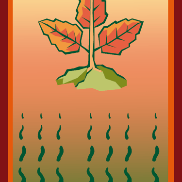 Carta para el juego PLANTA. Digital.