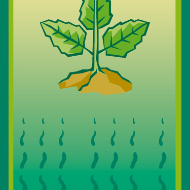 Carta para el juego PLANTA. Digital.