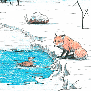 Ilustraciones para el cuento infantil La Patita Gris de Mamin-Sibiryak. Lápices de colores y rotuladores calibrados.