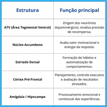 Estruturas do sistema de recompensa e suas funções no comportamento e motivação