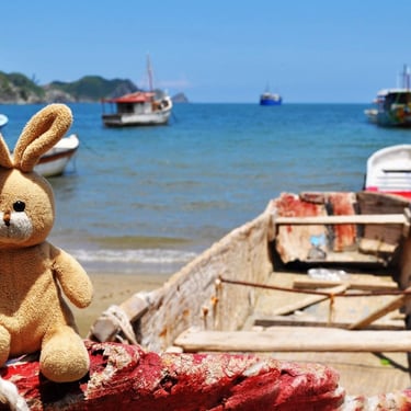 a stuffed animal sitting on a boat in the water