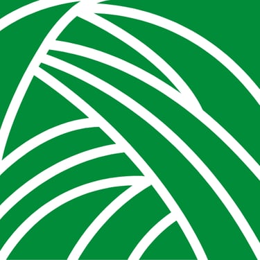 kiemai.lt mechanizuotas vejos irengimas