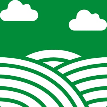 kiemai.lt sklypo lyginimas