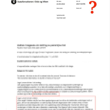 seksjonssjef Hanne Fisknes, Connie Lienm,Christer T. Laarsen،Statsforvalteren i Oslo og Viken