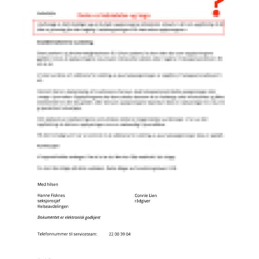 seksjonssjef Hanne Fisknes, Connie Lienm,Christer T. Laarsen،Statsforvalteren i Oslo og Viken