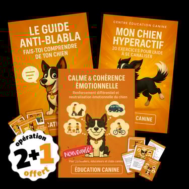 Livre, livret et eBook d’éducation canine – contenu pratique pour chiens et chiots. Centre Éducation Canine Lionel Renier.