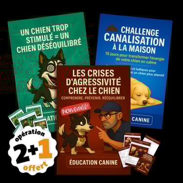Livre, livret et eBook d’éducation canine – contenu pratique pour chiens et chiots. Centre Éducation Canine Lionel Renier.