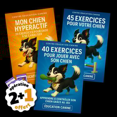 Livre, livret et eBook d’éducation canine – contenu pratique pour chiens et chiots. Centre Éducation Canine Lionel Renier.