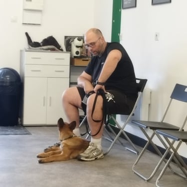 Livre ou ebook éducation canine  pour club canin ou éducateur canin