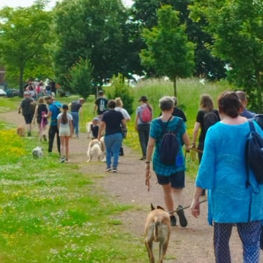 promenade canine aniche