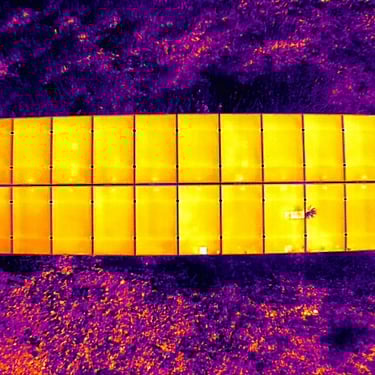 vegetation over solar panel
