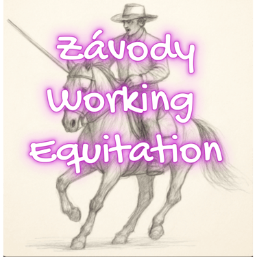 a drawing of a man riding a horse