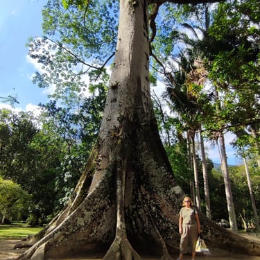 Jardim Botânico, Rio de Janeiro