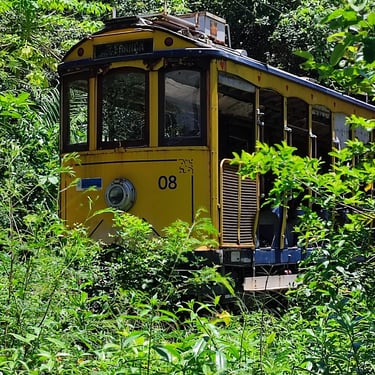 Bonde, Santa Tereza