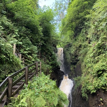 Glenariff Forest Park