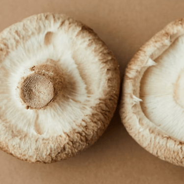 crunchy vegan snack shiitake mushroom chips